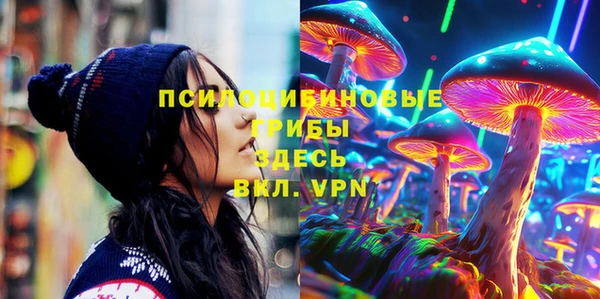 метадон Белокуриха