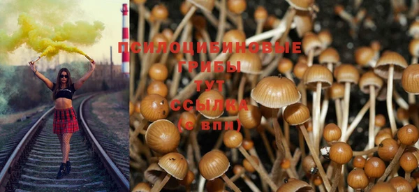 мескалин Аркадак