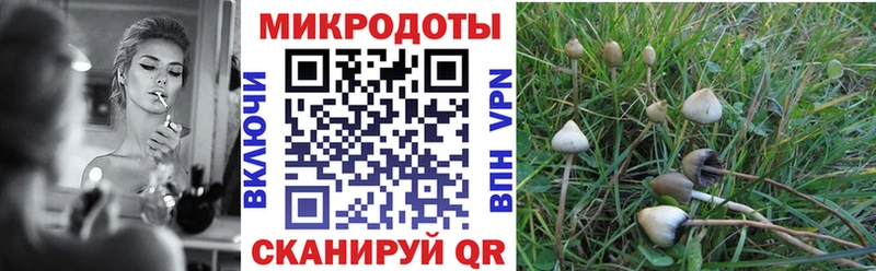 Галлюциногенные грибы GOLDEN TEACHER  купить наркотики сайты  Сергач 